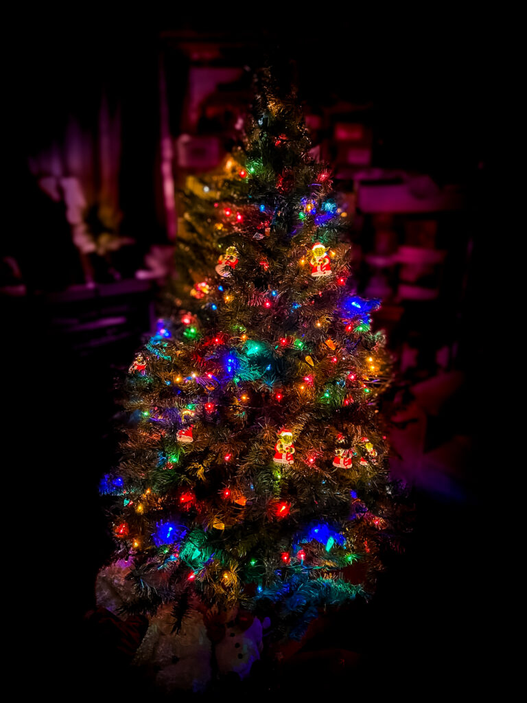 Christmas tree in the dark